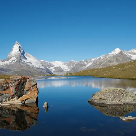 Appartement Good Value By Mx