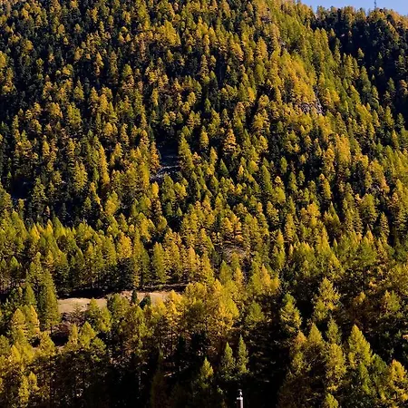 Good Value By Mountain Exposure